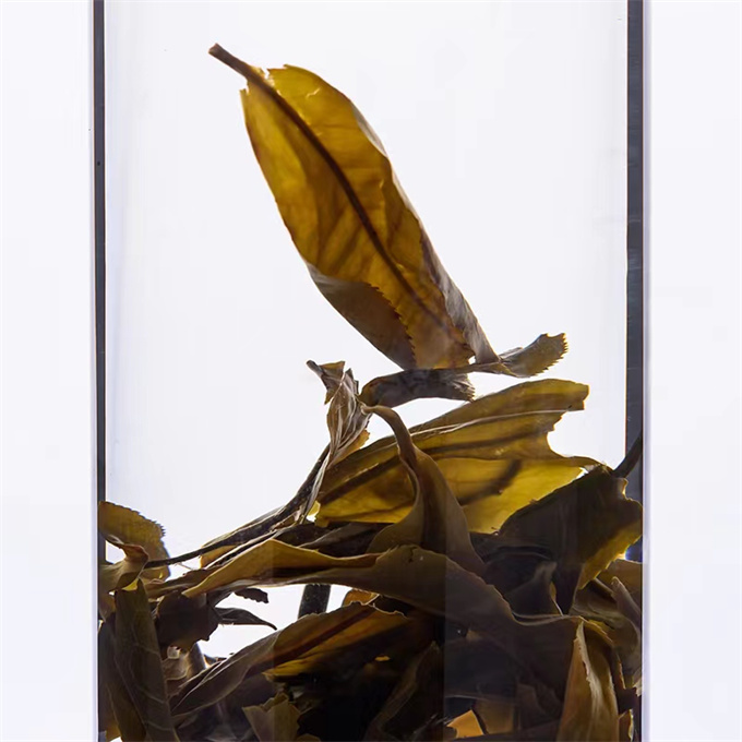 [두기] 19년 1901금두 대수청병 357g