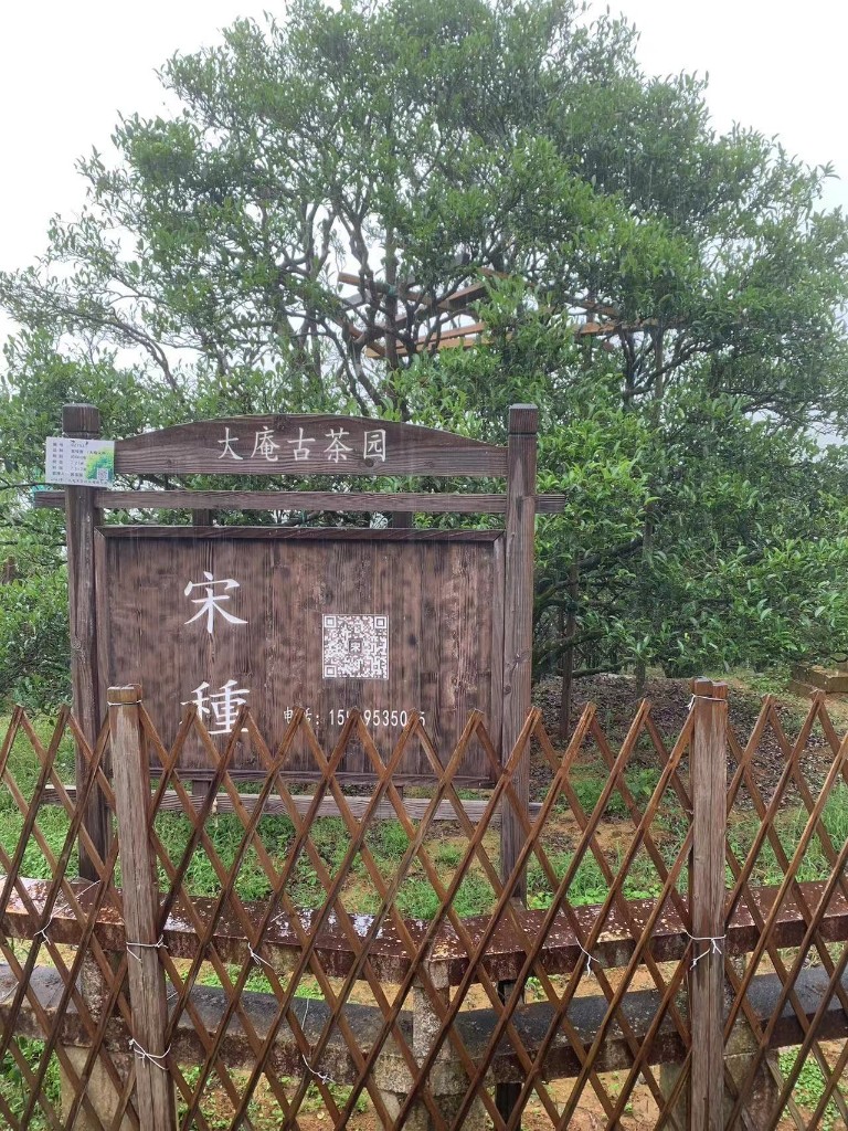 [오동산 단주] 단총 지역, 고수 향미에 따라 즐기세요