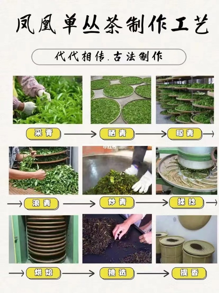[오동산 단주] 단총 지역, 고수차 모음