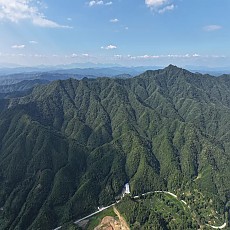 [특별한 노차] 05년 최상급 공첨 안차 250g