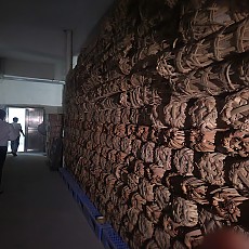 [백사계] 08년 천량차 36.25kg/600g