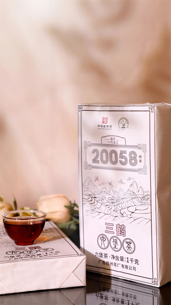 [오주차창] 20058 전차 1kg