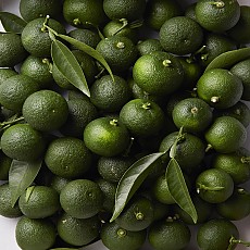 [공부차] 24년 유기농 천지영귤진피차 500g