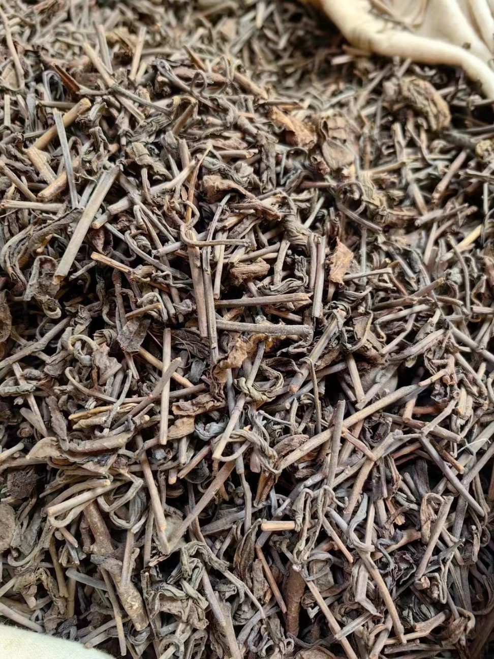 [약으로 마시는 목향노운] 70년대 노차골(老茶骨) 고수생차 100g