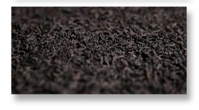 [백사계] 24년 5301 정품아첨 400g(200g*2)