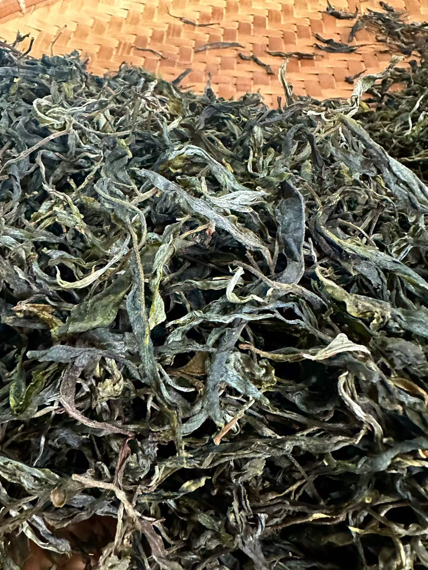 [126kg 모차 공구] 26년 빙도 대수 첫물 봄차 500g - 맛에 감동이 있음