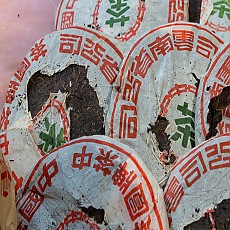 [공부차 티파크 할인 이벤트]