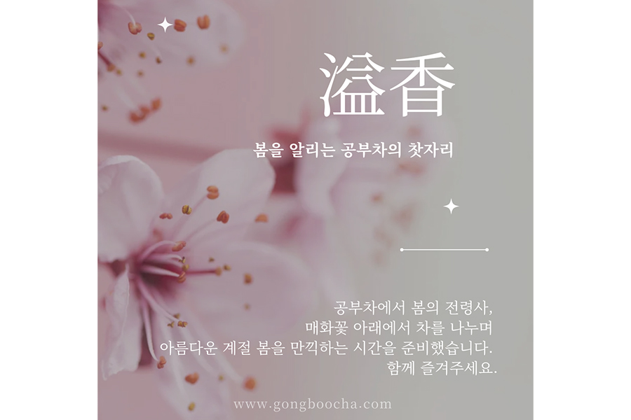 [매화다회] 봄을 알리는 공부차의 찻자리 - 종료 되었습니다. 감사합니다.