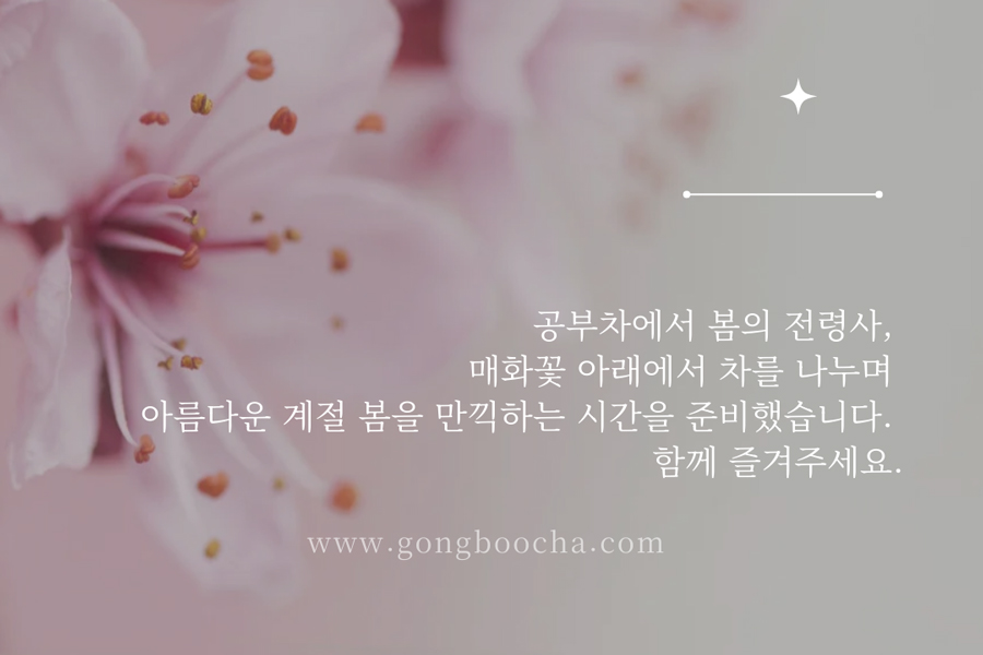 [매화다회] 봄을 알리는 공부차의 찻자리 - 종료 되었습니다. 감사합니다.