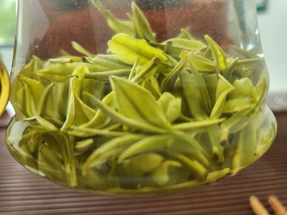 [한정수량 ] 안길백차 명전 극품 50g