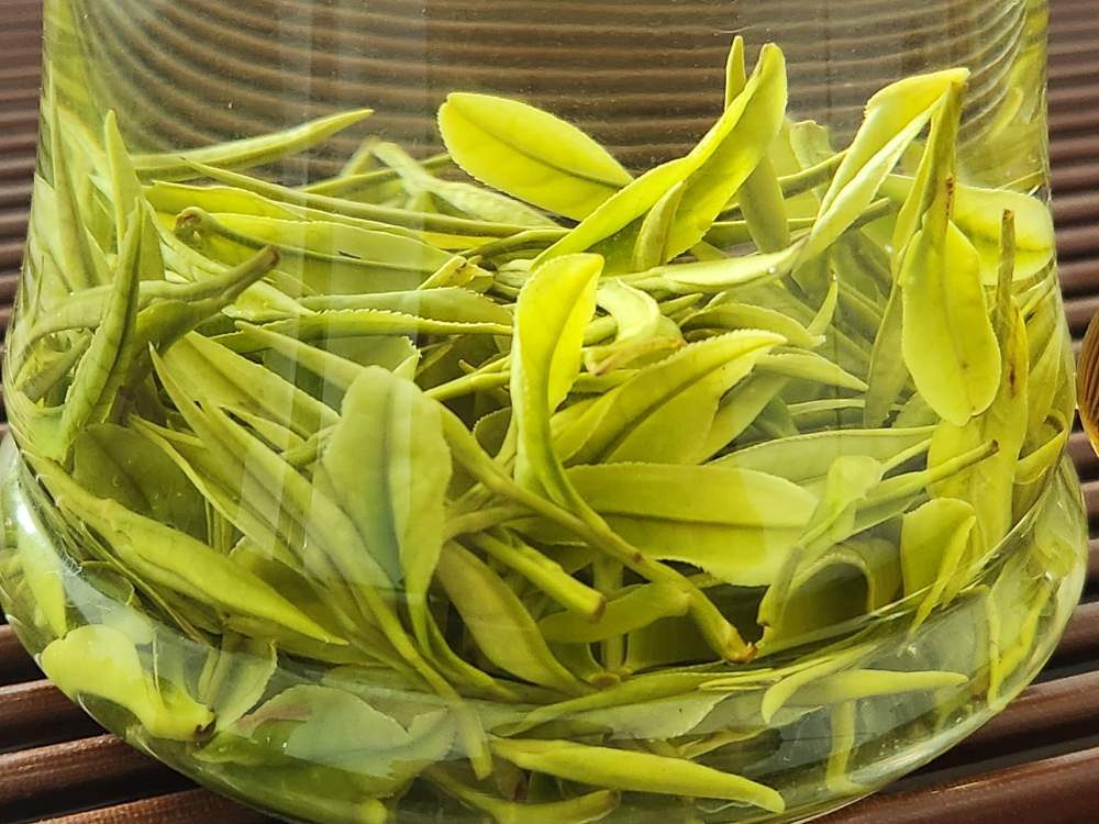[한정수량] 안길백차 명전특급 50g
