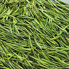 [한정수량] 안길백차 명전특급 50g