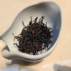 [긴급공구] 25년 대설산 야생 고수홍차 50g