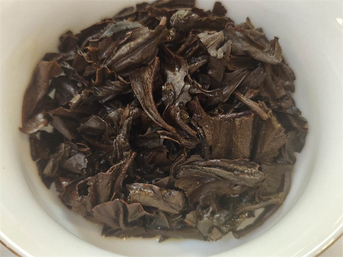 98년 맹고생타 100g