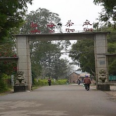 必 맹해차창 공부차 보유분 판매