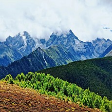 품질 보증되는 유명 차창의 가성비 좋은 노차 시리즈