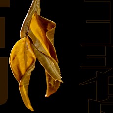 호급차 복원, 이무 고수차 이창호,군림천하, 진홍창, 창태호 등