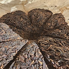 [희소 명품 g 판매] 02년 의방 고수차