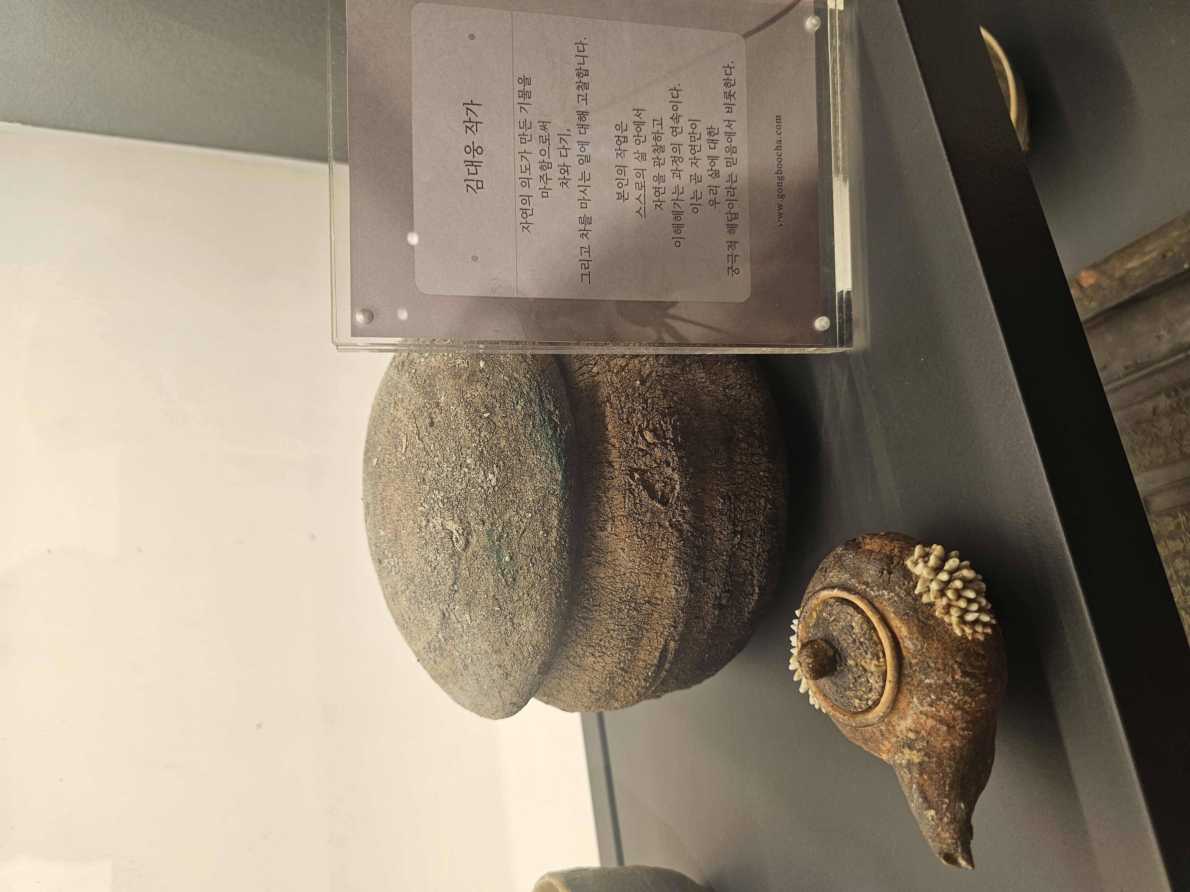 05년 대덕성 천가채 357g