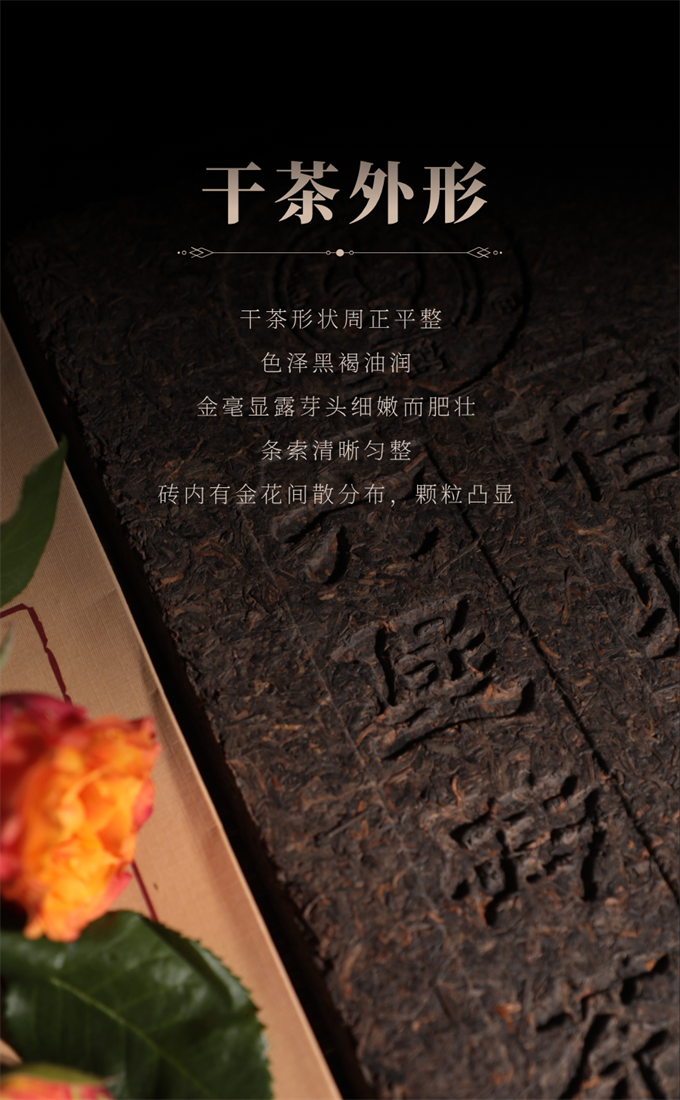 [오주차창] 대사인 특급 육보전차 2kg
