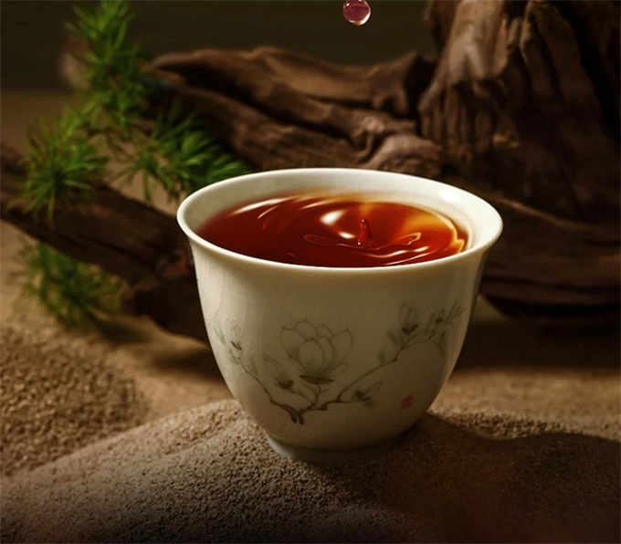 [가성비 최고] 25년 2501 노차두 450g