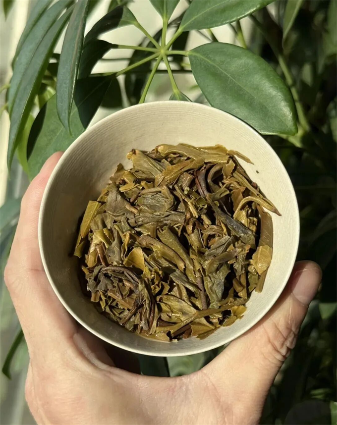 [勐海茶厂]2025年 7542青饼 357g