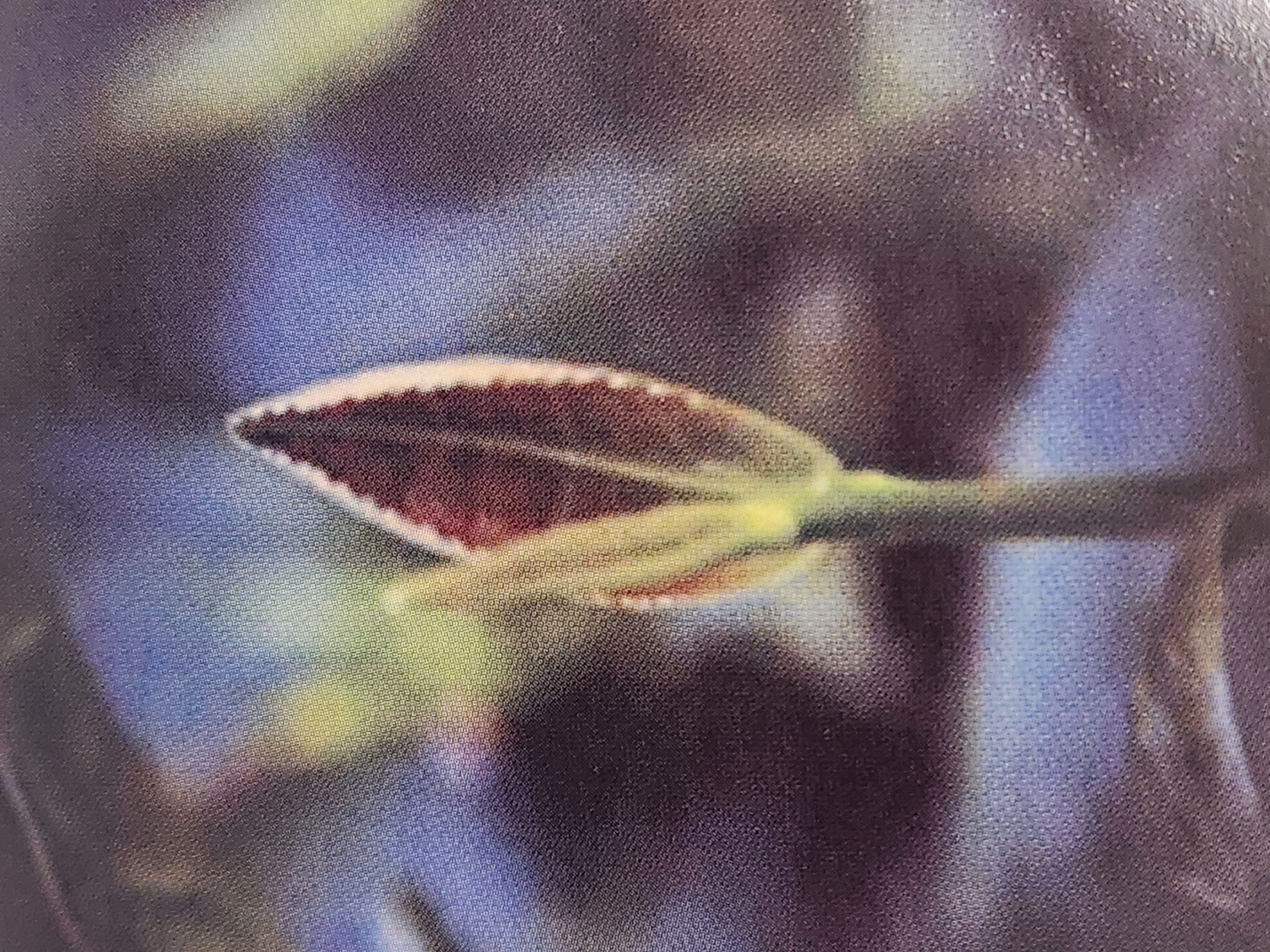 [천지인이 만든 정말 귀한차] 돌산운 전통 농향 철관음 1포(7.6g)