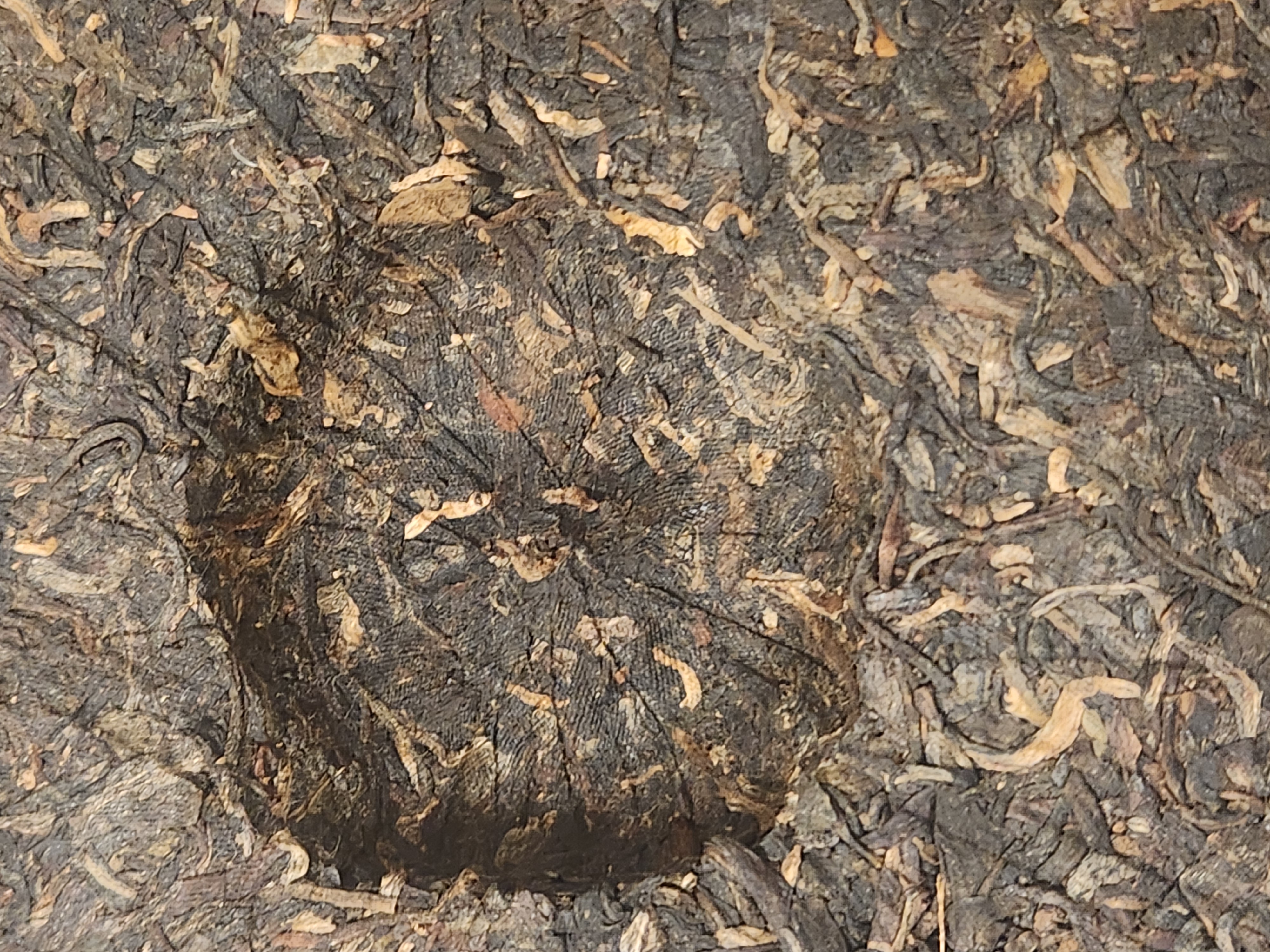 [50건 폭탄] 16년 대홍인 357g 1건(42편)