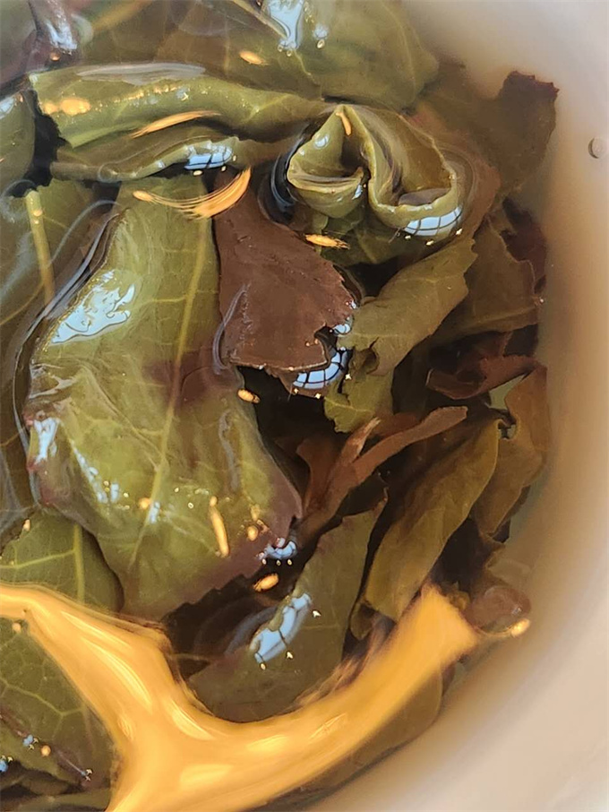 [토종 철관음] 300년 모수 철관음 1포(7.6g)