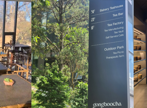 [공부차파크]공부차 보관해서 좋은 차 3g 체험차