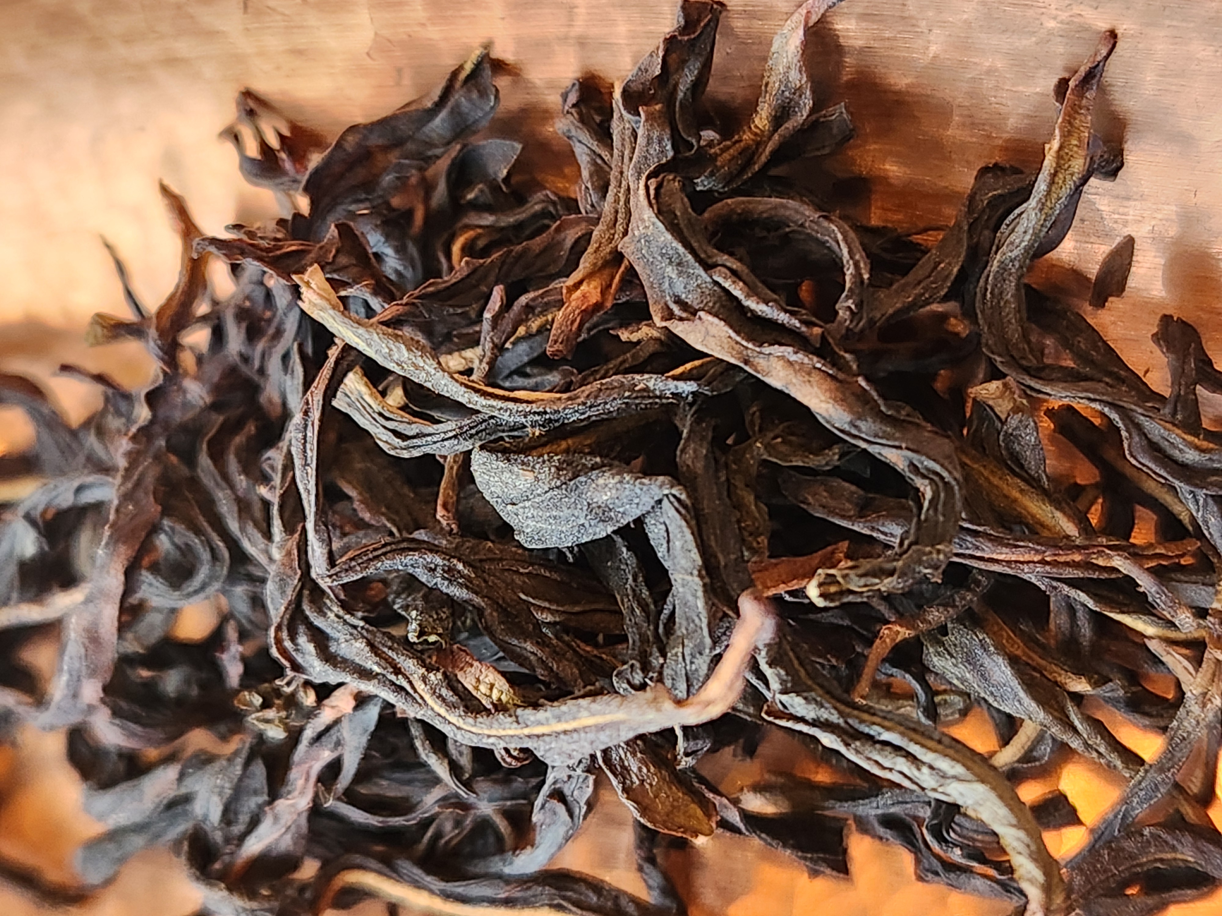 [24년 최고의 단총] 24년 일등상 팔선단총 1세트(2*8g)