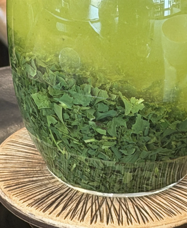 [녹차특별전] 한중일 녹차 특별전 시음권