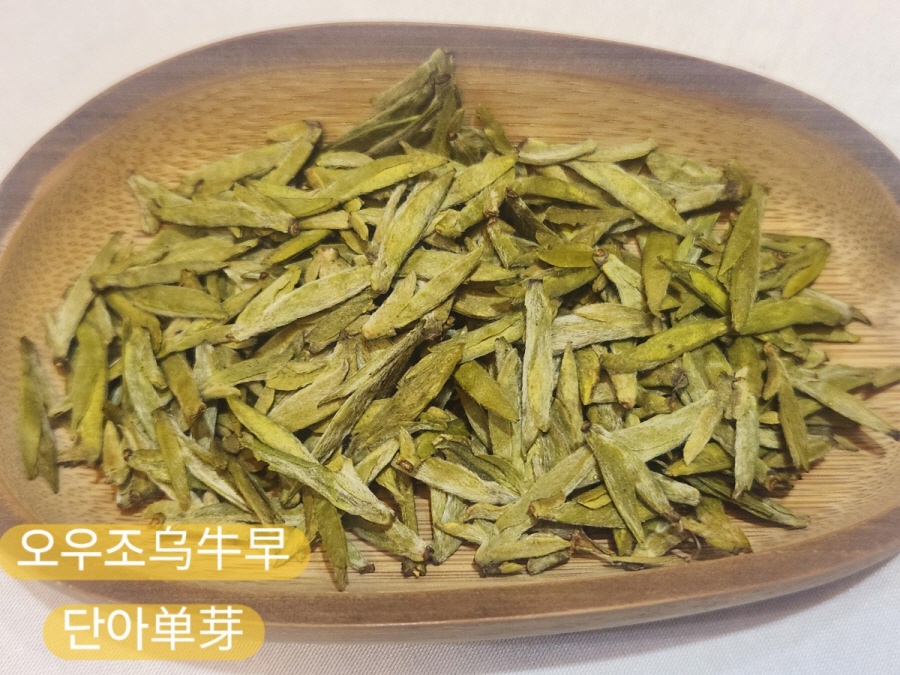 [공동구매 행사] 26년 온주황차 50g