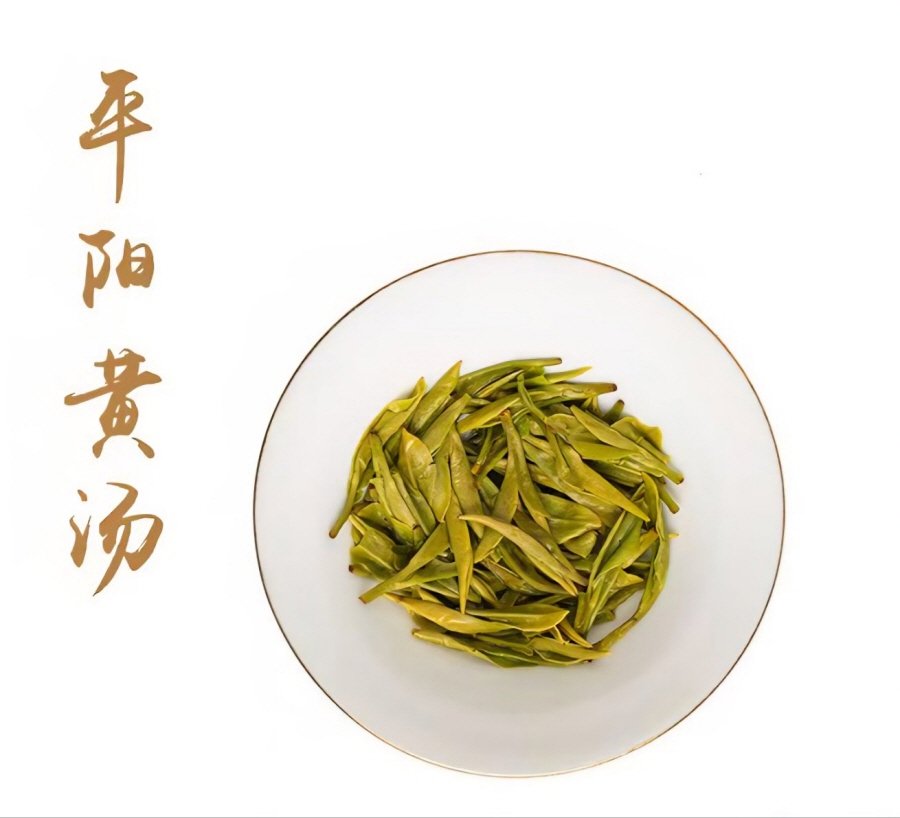 [공동구매 행사] 26년 온주황차 50g