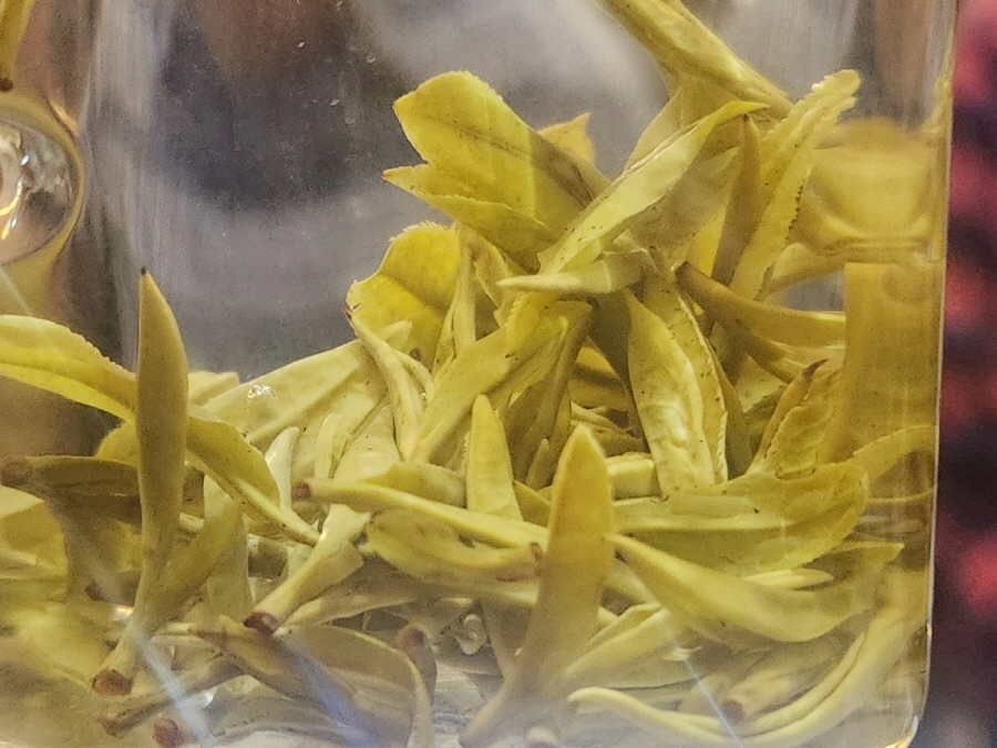 [공동구매 행사] 26년 온주황차 50g