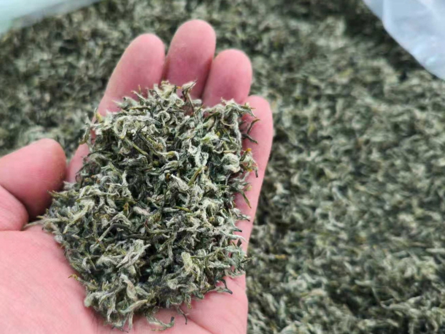 [해외직구공구] 동정벽라춘 명전 극품 50g