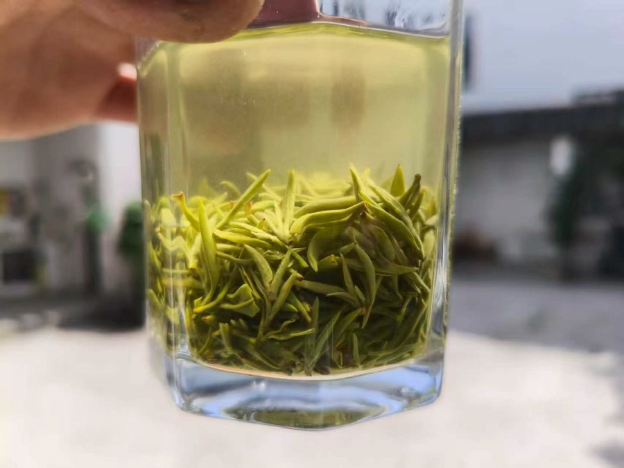 [해외직구공구] 동정벽라춘 명전 극품 50g