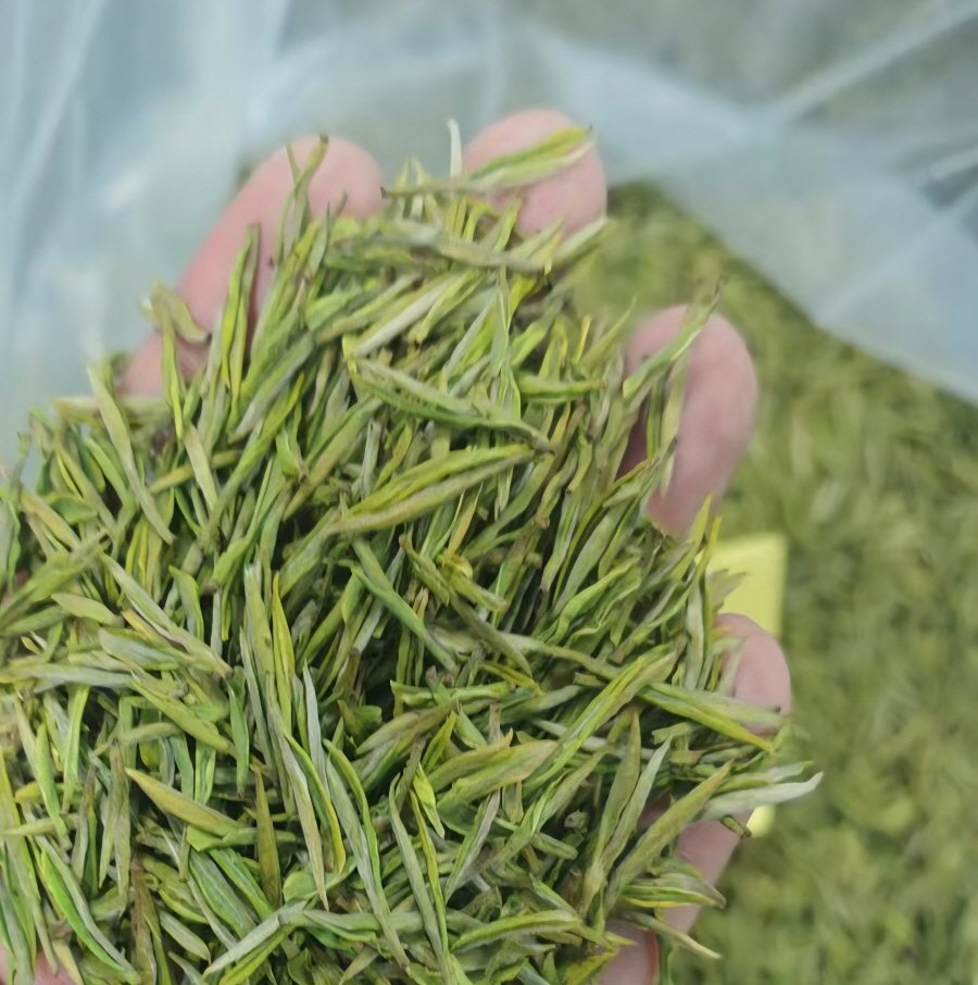 [해외직구공구]안길백차 극품 50g /안길백차 황금아 50g