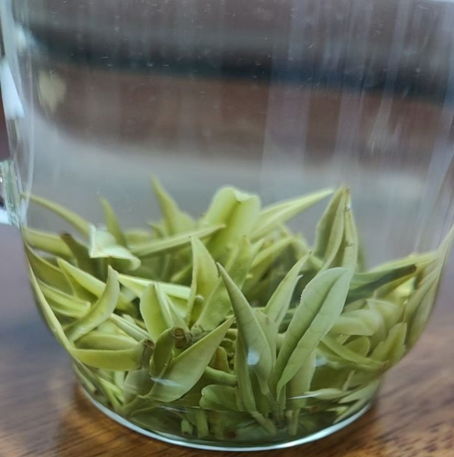 [해외직구공구]안길백차 극품 50g /안길백차 황금아 50g