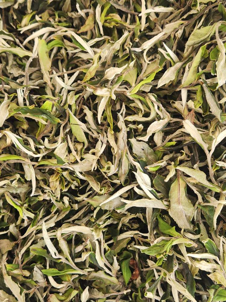 [해외직구공구] 빙도고수극품 백모단100g/1kg