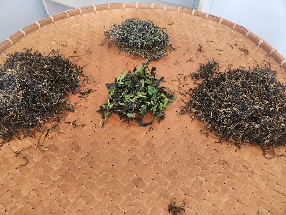 [해외직구공구]빙도 고수 홍차 첫물차 1kg - 두 종 모두 사서 좋은 경험하세요.