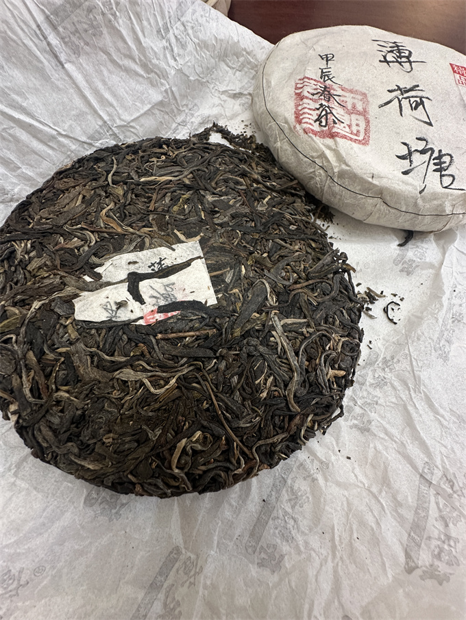 [땡처리] 24년 박하당 薄荷塘 춘차 250g