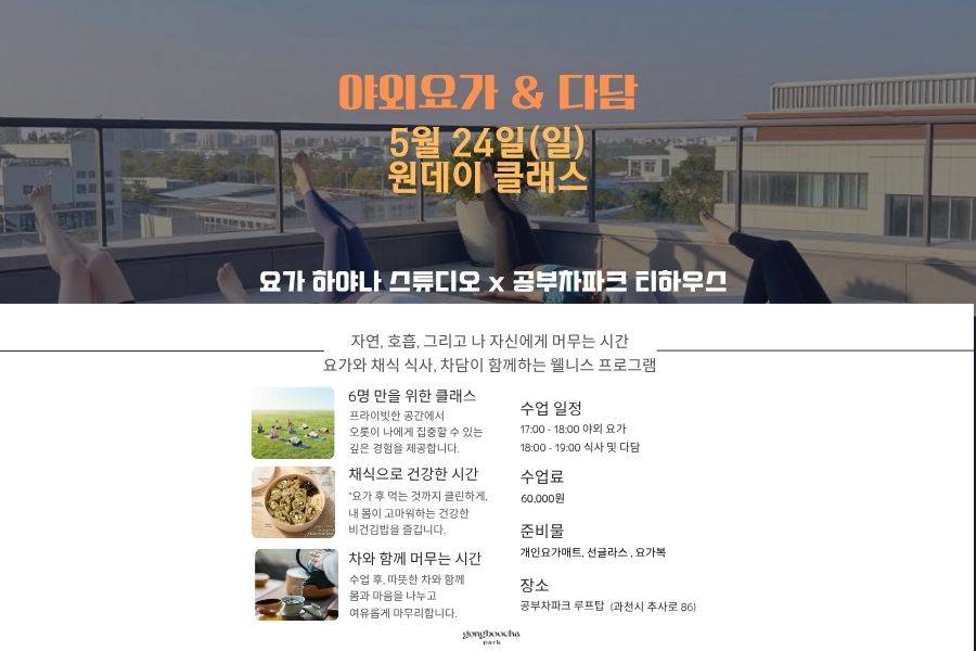 야외요가 & 다담 요가 (요가하야나 스튜디오 X 공부차파크(5/24))