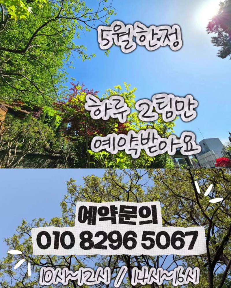 공부차파크 5월의 티크닉