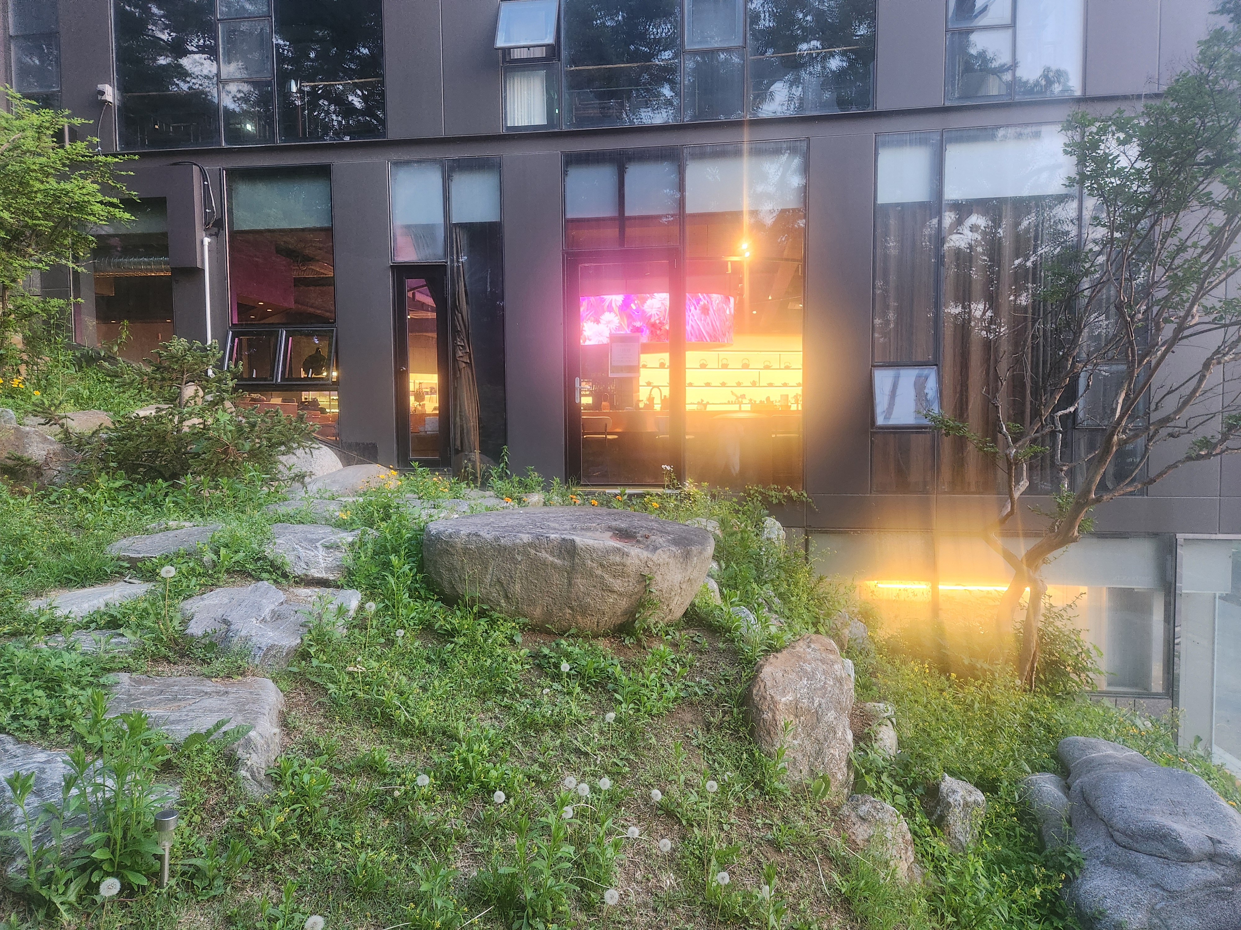 관악산을 바라보며 명상의자 찻자리