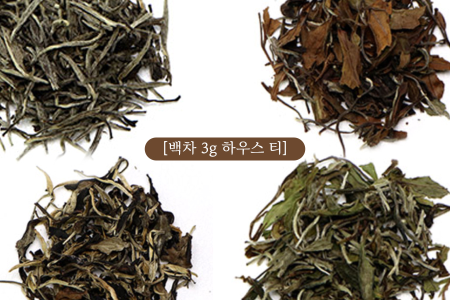 백차 향연 3g 체험차