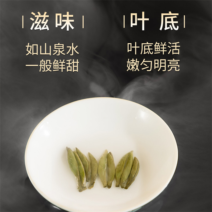 [명품 鼎白] 정백침호 2023년 명전단침 특급백차 50g