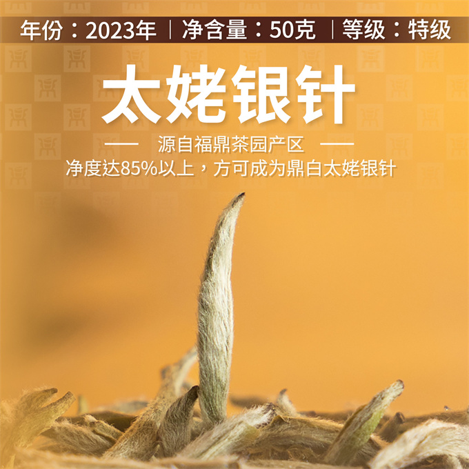 [명품 鼎白] 정백침호 2023년 태모은침 특급백차 50g