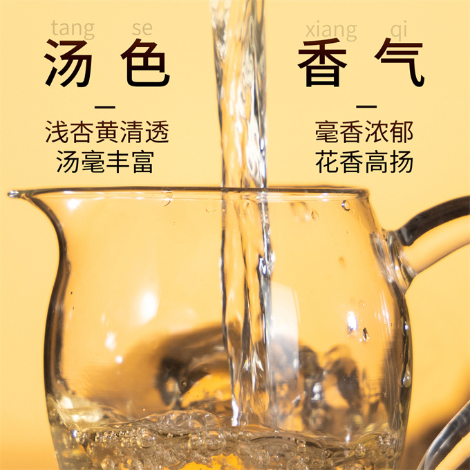 [명품 鼎白] 정백침호 2023년 태모은침 특급백차 50g