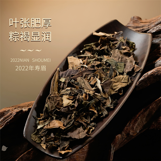 [맑은차 정백] 정백유운流韵 2022년 수미 1급백차 600g